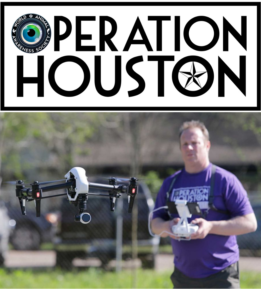 Drones Will Be Used to Track Stray Dogs in Houston, TX